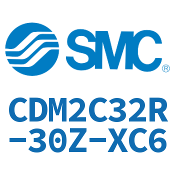Single earring type mini cylinder-CDM2C32R-30Z-XC6