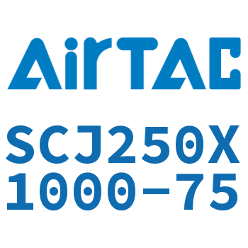 Standard cylinder-SCJ250X1000-75