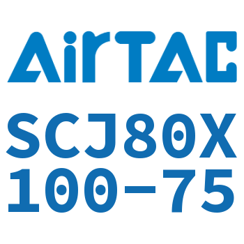 Standard cylinder-SCJ80X100-75