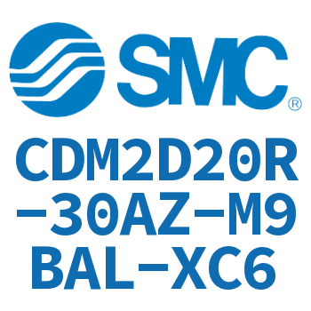 Double earring type mini cylinder-CDM2D20R-30AZ-M9BAL-XC6