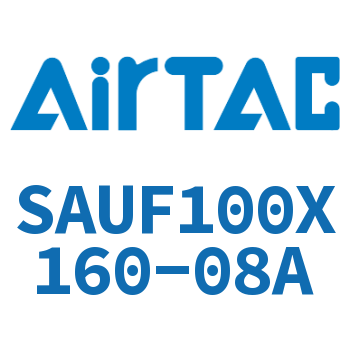 带阀气缸 SAUF100X160-08A