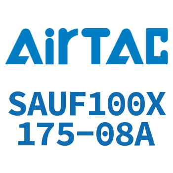 带阀气缸 SAUF100X175-08A