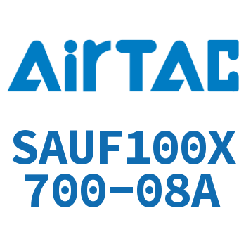 带阀气缸 SAUF100X700-08A
