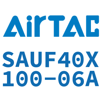 带阀气缸 SAUF40X100-06A