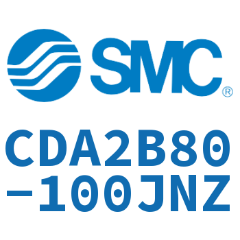 Standard cylinder-CDA2B80-100JNZ