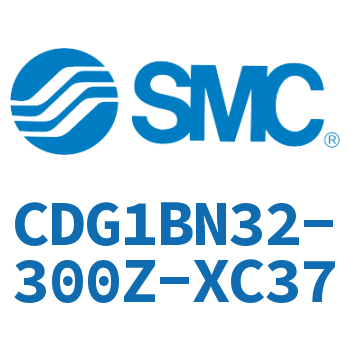 Standard cylinder CDG1BN32-300Z-XC37